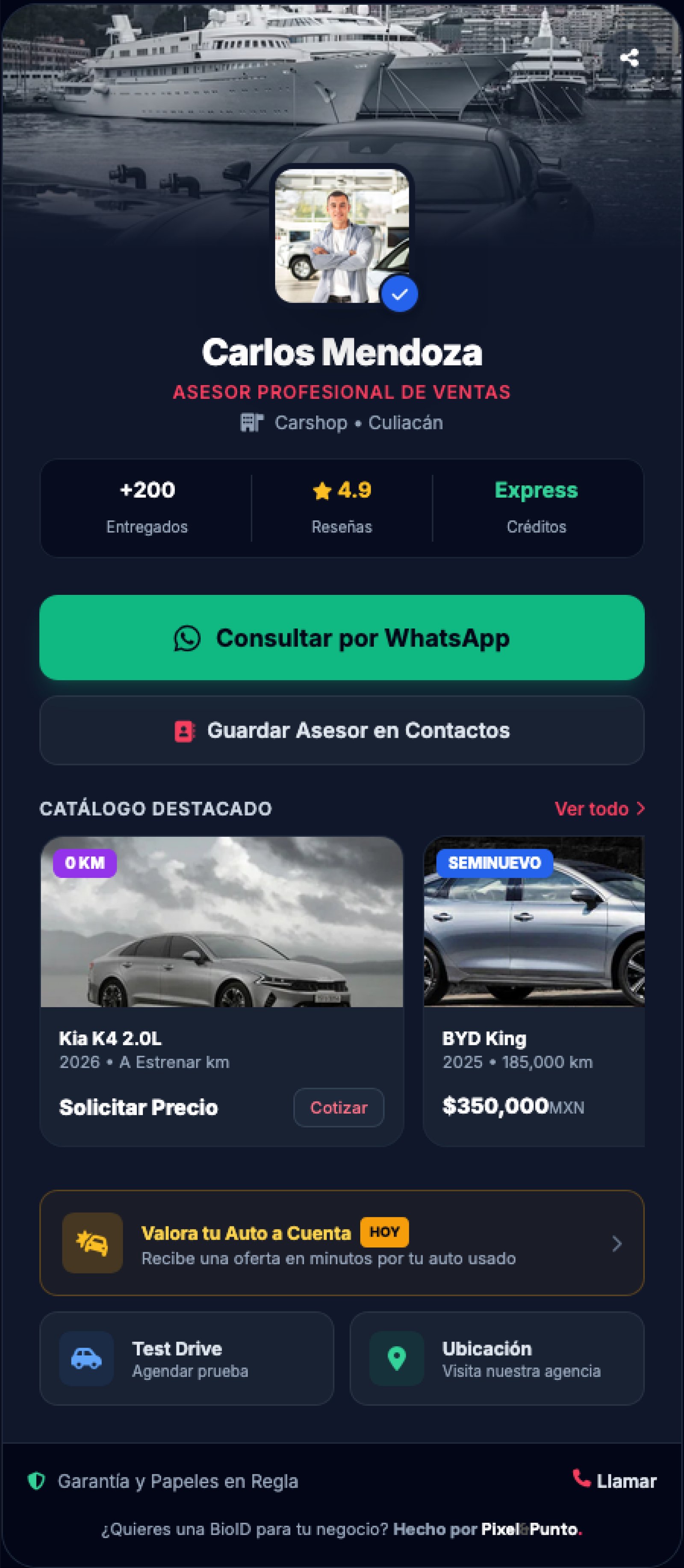 Vista previa Auto Sales