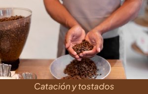 Taller de catación y tostados