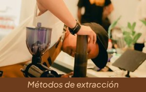 Taller de métodos de extracción